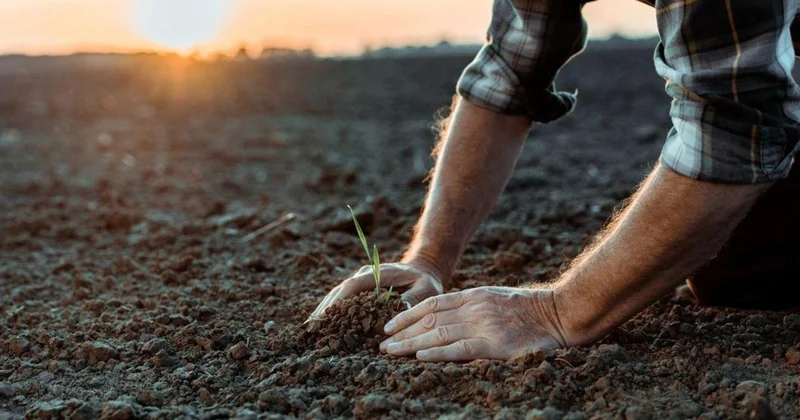 Депутат: Субсидия қарызы шаруаларды ауыр несиеге ұрындырып жатыр