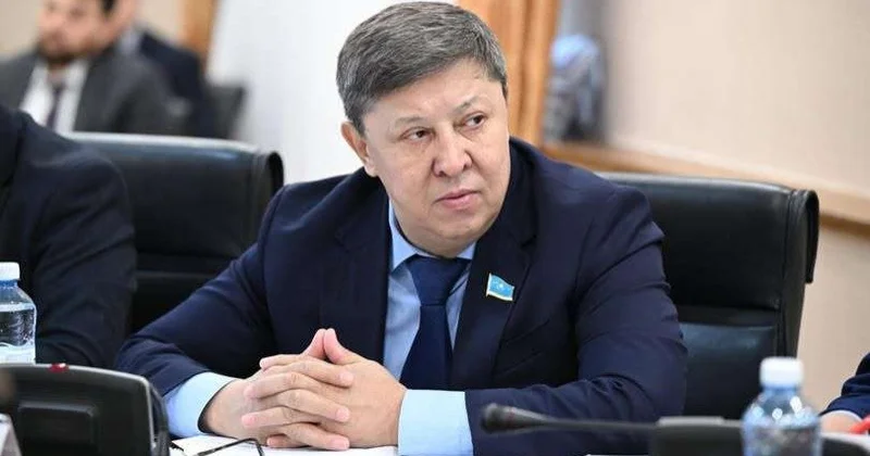 Мемлекеттік шекара белдеуіндегі 3 мыңнан аса телім жекенің қолында Депутат сауалы