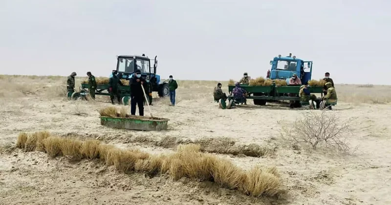 Арал теңізінің табанына 53 млн астам сексеуіл көшеті отырғызылды