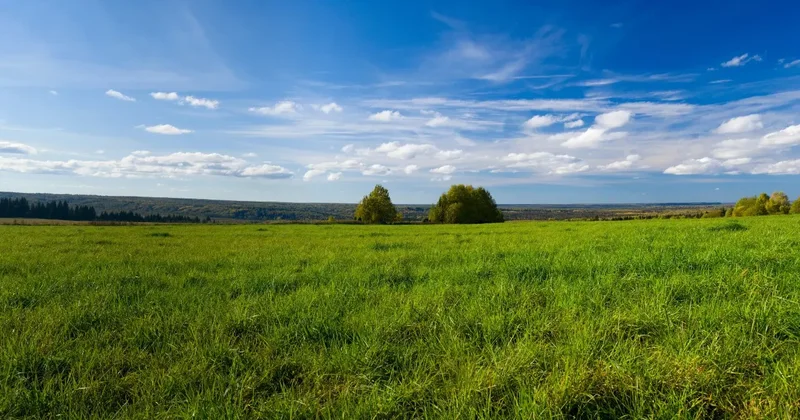 Дефицит пастбищ сохраняется в Казахстане, несмотря на возврат земель государству сенатор