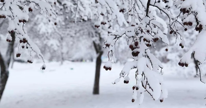 Снег и сильный ветер ожидаются в Шымкенте