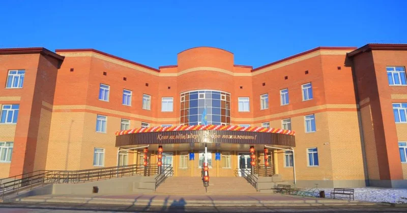 Қостанай қаласындағы балалардың неше пайызы аралас мектептерде білім алып жатыр?