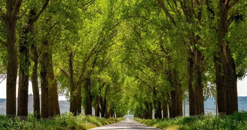 Где появятся новые экопарки для отдыха рядом с Астаной