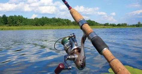 На 8,5 миллиона тенге нарушили законодательство охотники и рыболовы