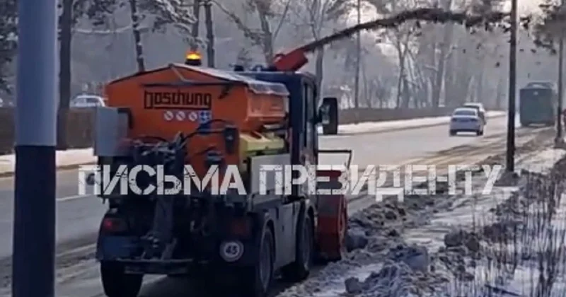 Рощу Баума забрасывают реагентами : работа подрядчиков возмутила жителей Алматы (видео)