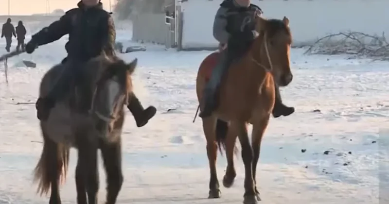 До 1,5 млн тенге предлагают жителям Семея за переезд в село