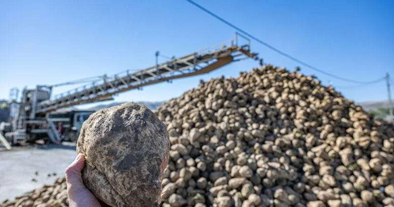 Вопрос, касающийся каждого