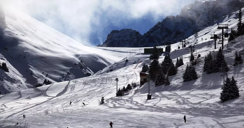 Алматы тауында адамды қар көшкіні басып қалды