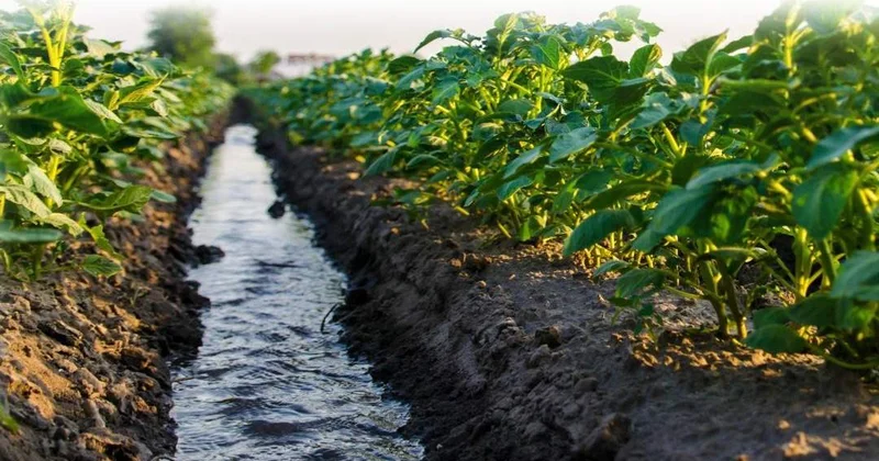 Су энергетика ресурстарының жаңа картасы: Қазақстанның су қоры онжылдықтарға жете ме