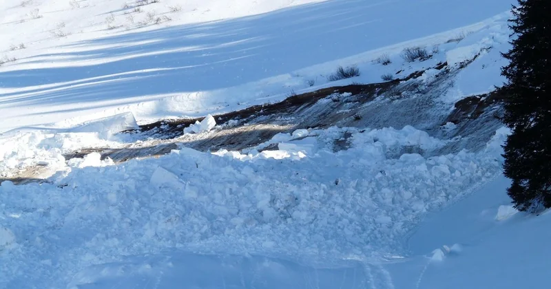 После схода лавины погиб сотрудник дорожной службы в ВКО