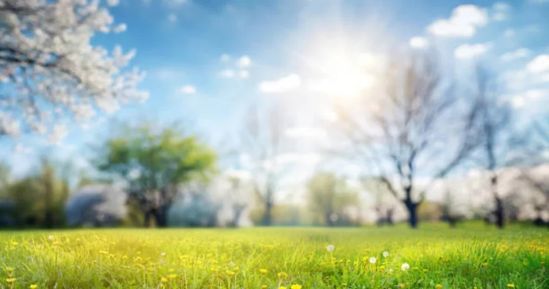 Бүгін Тазару күніне байланысты ел бойынша ауқымды эко акция өтеді