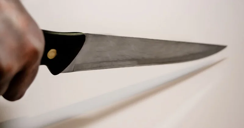 Ребенок с кухонным ножом бегал во дворе в Астане