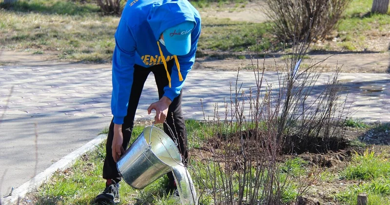 Профанация чистой воды