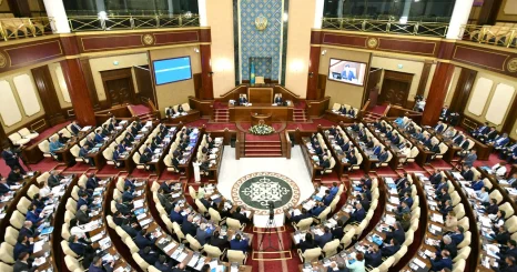 Запретить депутатам маслихатов голосовать при конфликте интересов предложил мажилисмен