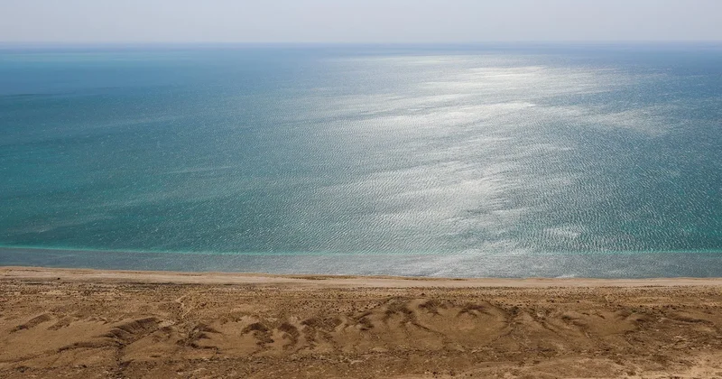 Президент Каспийді қорғау үшін халықаралық ынтымақтастықты күшейтуді ұсынды