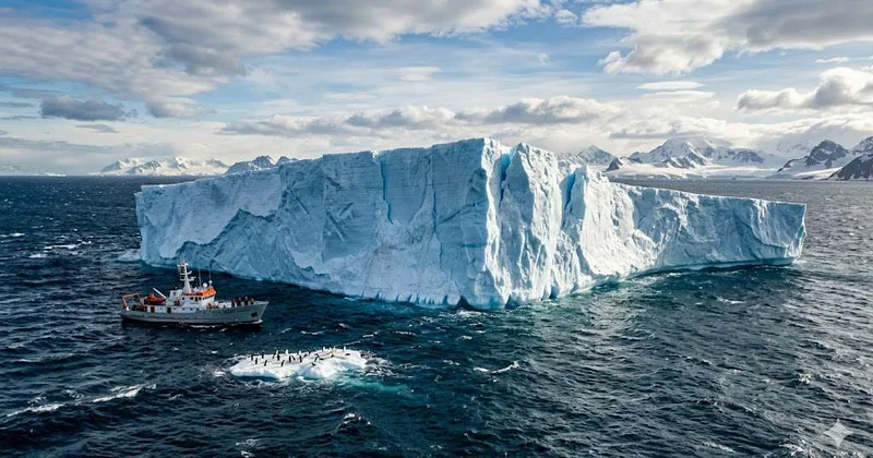 Самый большой в мире айсберг практически полностью растаял