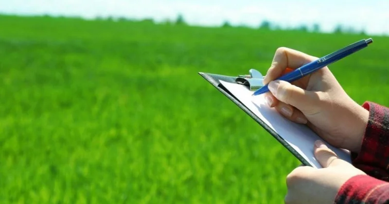 Ұлытауда 7 мың га ауыл шаруашылығы жері мақсатсыз пайдаланылғаны анықталды