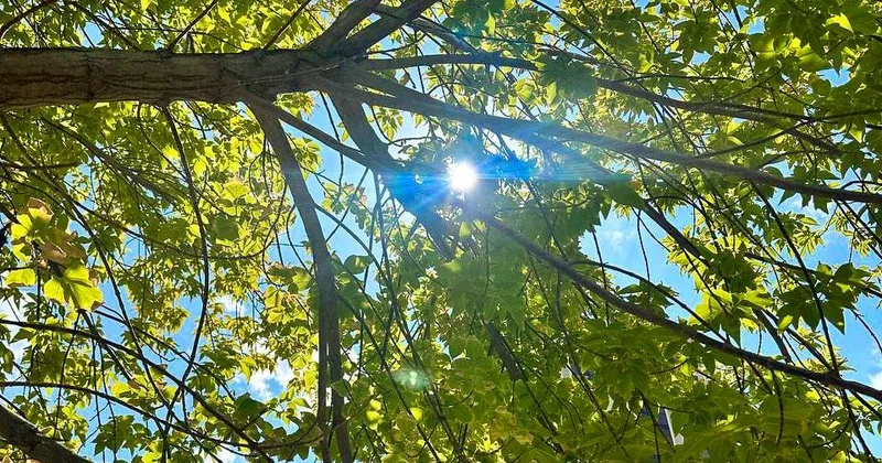 Еуропада аптап ыстыққа байланысты өлім жітім өскен