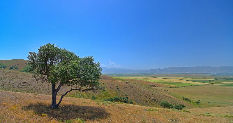 Қазақстанға 32 градусқа дейін аптап ыстық келеді