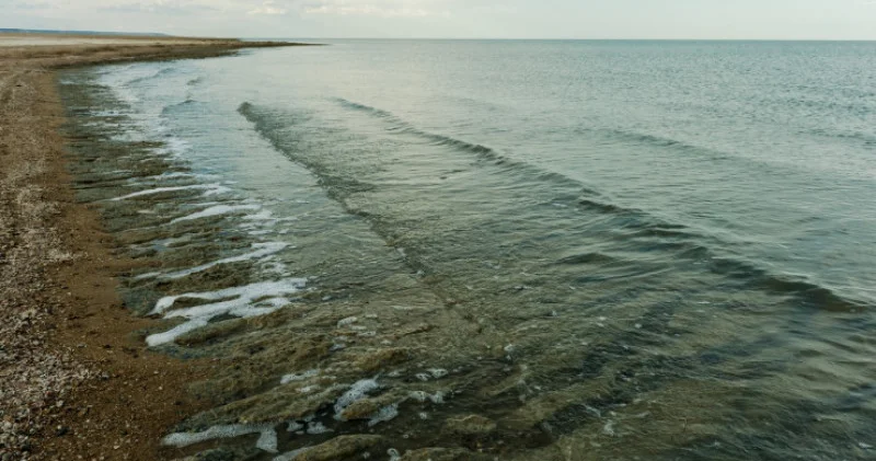 “Арал теңізі салғырттықтың салдары“ Тоқаев су қауіпсіздігі мәселесіне назар аударды