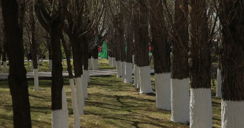 Движение Таза Қазақстан объединило почти миллион волонтеров