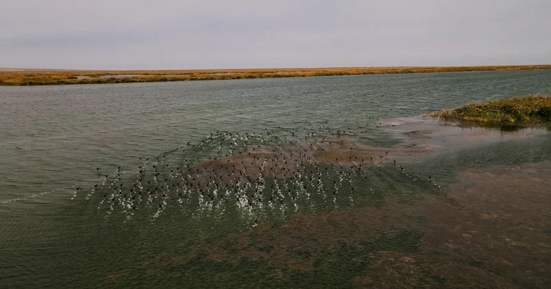 Президент Орталық Азиядағы су тапшылығы мен экологиялық қауіптерді атады