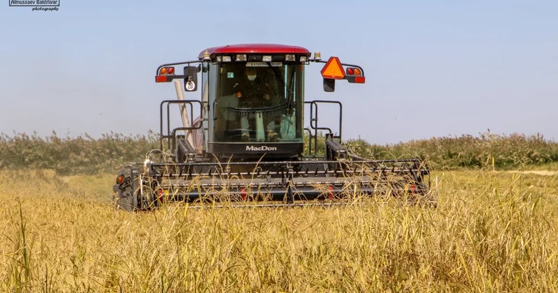 Қызылорда облысында 65 мың гектар күріш алқабы лазермен тегістеледі