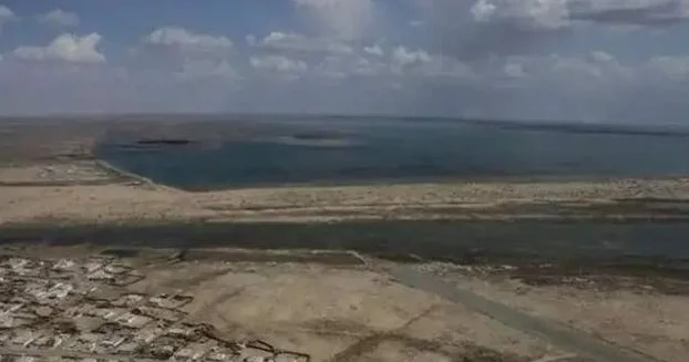 Өзбекстанда Арал табанының 2 млн гектардан астамы көгалдандырылып жатыр