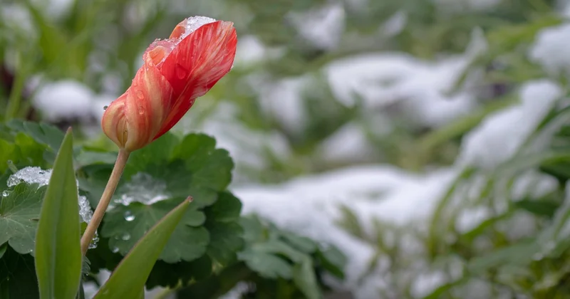 Казахстан ждут три дня погодных качелей: от дождей с градом до +32
