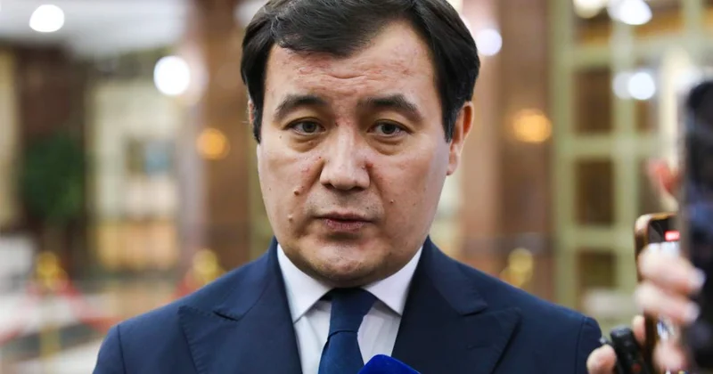 Шенген визасы қазақстандықтар үшін арзандауы мүмкін СІМ