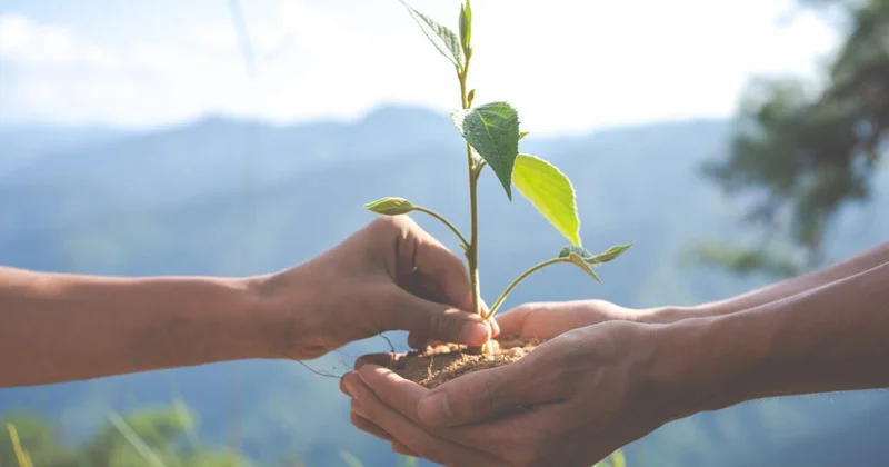 Жаһандық экологиялық апаттардың қалай алдын алуға болады