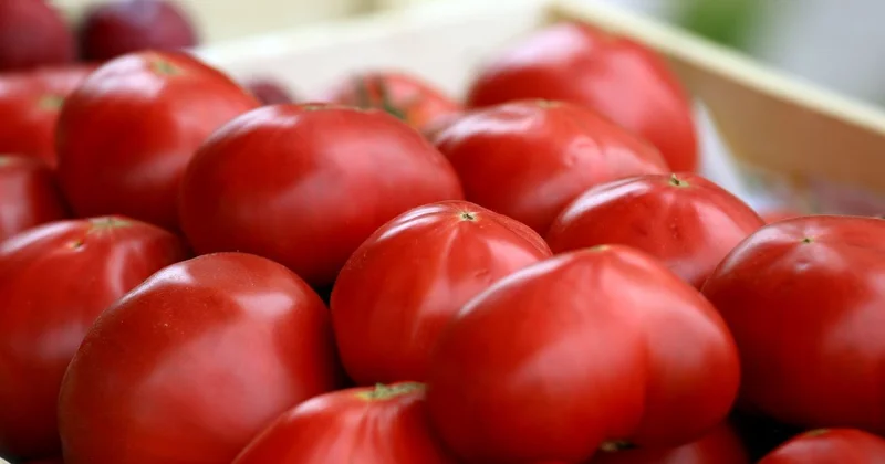 Очередная сельхозярмарка пройдет в эти выходные в Астане