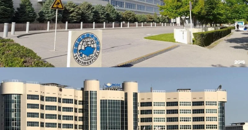 Ағашкасыз кіре алмайсың ба? : Threads та ТШО мен NCOC қа жұмысқа орналасу жайлы дау өршіді
