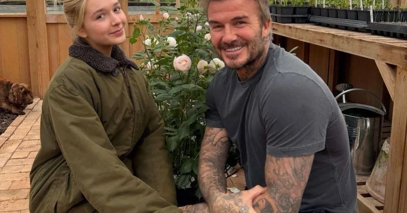 Розу в честь Дэвида Бекхэма представили на Chelsea Flower Show в Лондоне