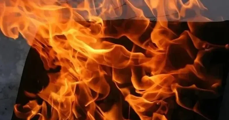 Баянауыл мемлекеттік ұлттық табиғи паркі аумағында дала өртеніп жатыр
