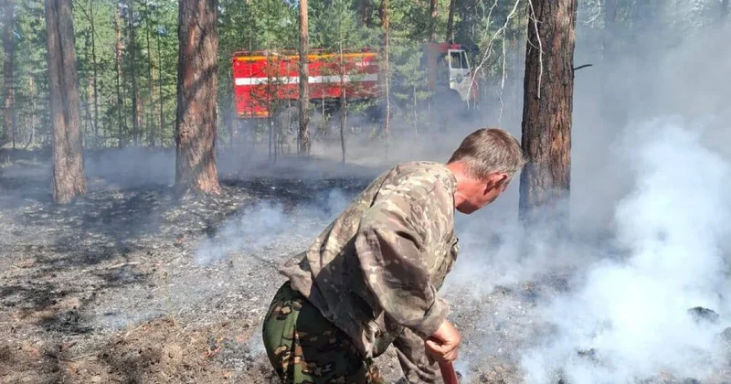 Ещё два пожара вспыхнули в резервате Семей Орманы