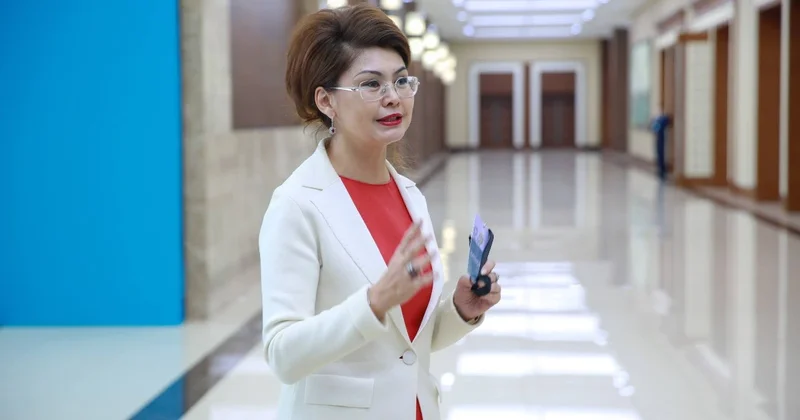 Сатира и юмор не правонарушение . Балаева о задержании автора Youtube канала Ахуал сегодня