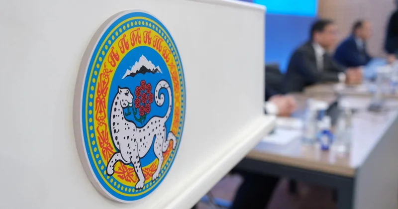 Өңірлік символиканы қай жерде пайдалануға болады: ережелер бекітілді