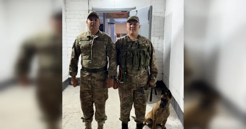 Собака Айза помешала водителю Газели провезти вещество в колонию под Аршалы