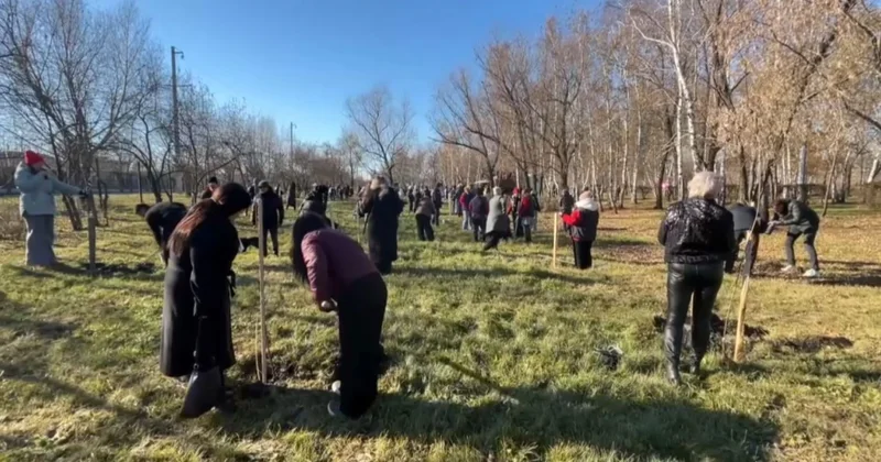 Петропавлда 100 ағаш егілді