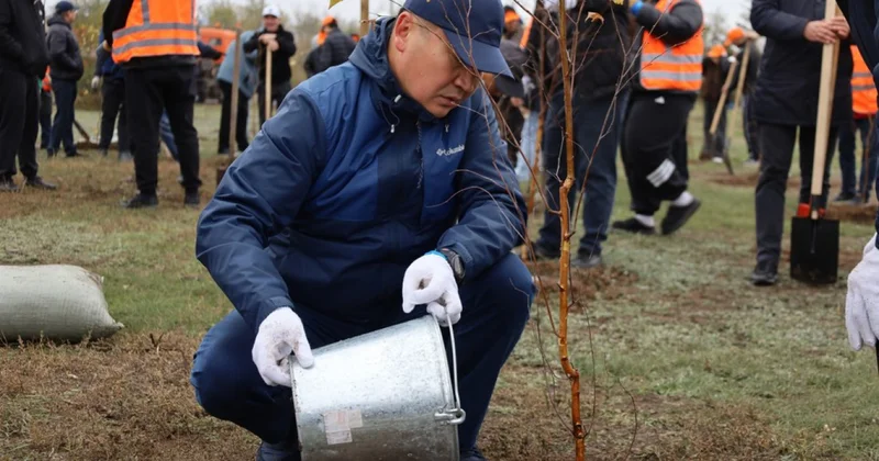 Көшет көшенің сәні