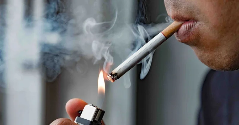 Елімізде 12,8 млрд теңгенің заңсыз темекі өнімдері анықталды