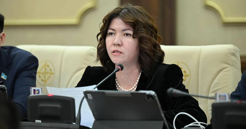 Сүлейменоваға бағытталған сын садағы: Министр шұғыл мәлімдеме жасады