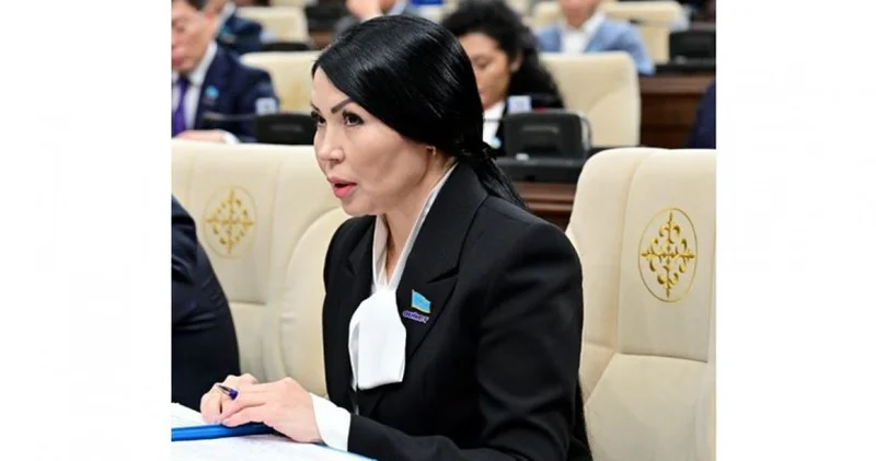 Педагог ассистенттердің еңбегі нақтылануы қажет