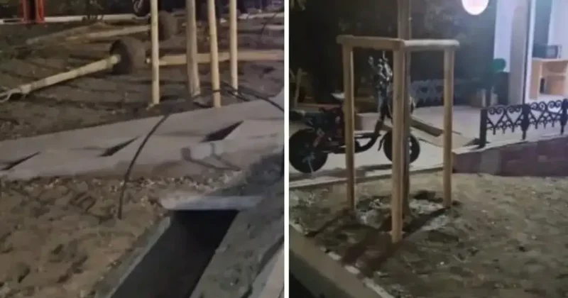 Недавно высаженные деревья убрали с одной из улиц Алматы