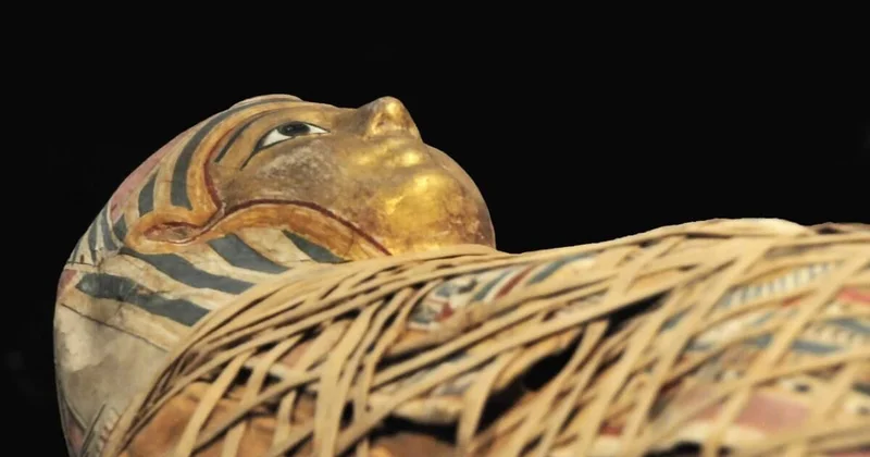 Мумифицировал мать и получал ее пенсию: в Италии раскрыли дикое мошенничество