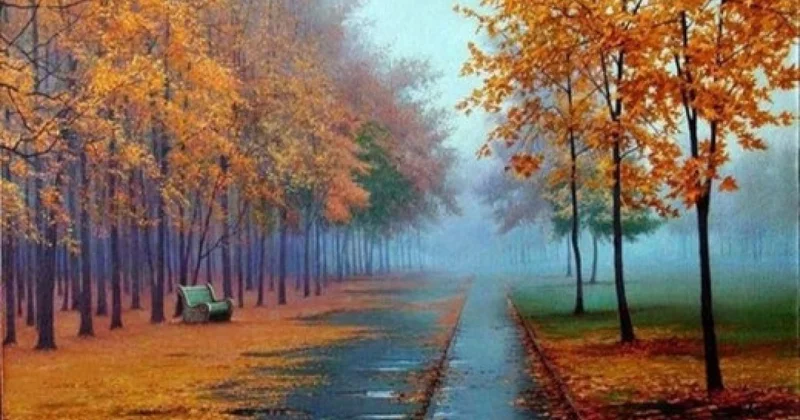 Күздің ұзақ кеші...