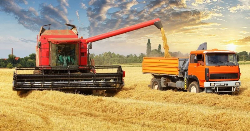 Еңсені езген тыйым