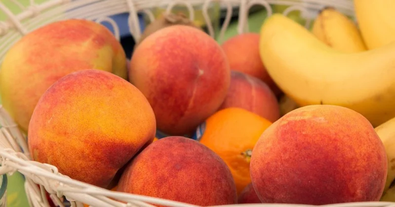 Тұмаудың алдын алу үшін қандай жемістерді жиі тұтынған жөн