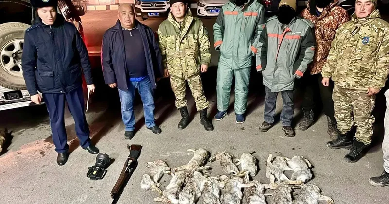 13 зайцев застрелили браконьеры в резервате "Иле Балхаш"